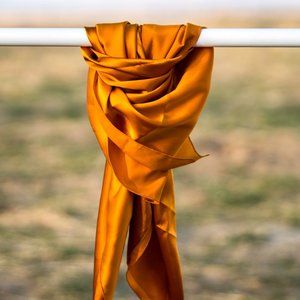 Orange Silk Silk Wild Rag Scarf